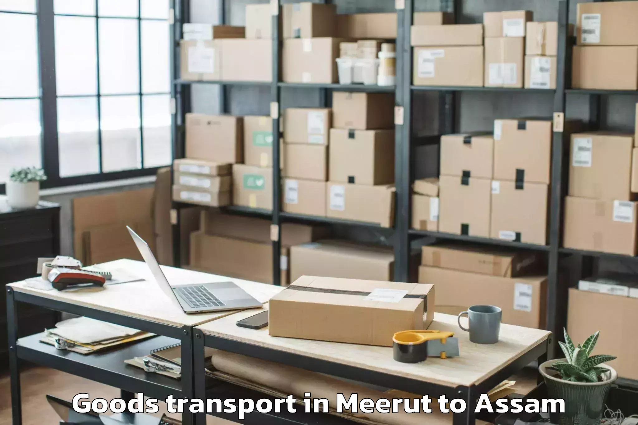 Expert Meerut to Rangapara Goods Transport